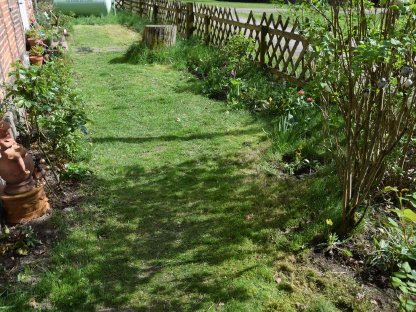 Bild 4:Vorarlberg, Tirol, Alpenraum: suchen kl. Hof (Miete/Pacht)