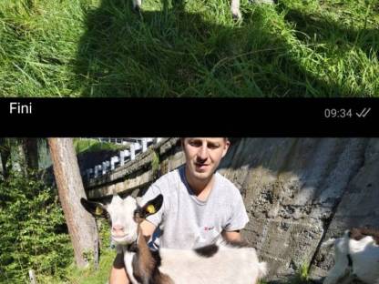 Bild 5:Tauernschecken Kitze