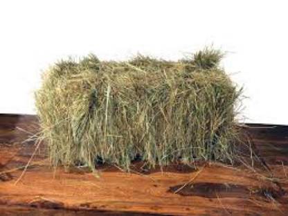 Bild 3:Premium Pferdeheu aus der Bretagne Lieferung in ganz DE