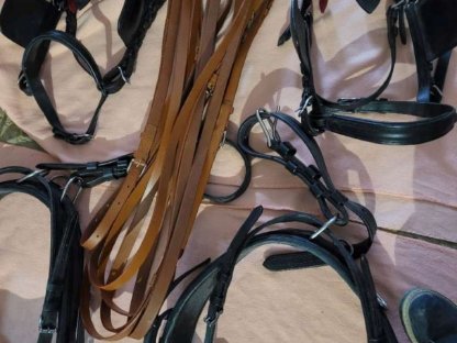 Bild 3:Verkaufe schönes Zweispänner-Geschirr