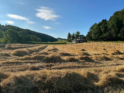 Acker 8.000 m²