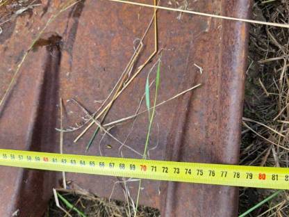 Bild 2:Martin Baggerlöffel 13-17 t Bagger, 80 cm