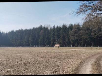 Bild 5:Landwirtschaftlicher Nutzgrund