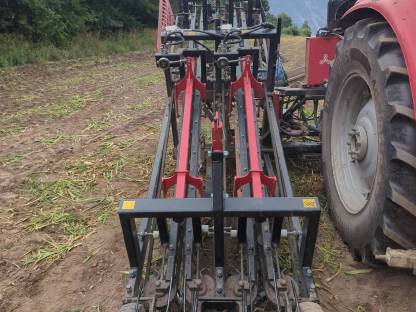 Bild 2:Knoblauchroder