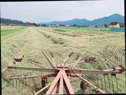 Bild 3:Bio Heuballen 1. Schnitt 2025