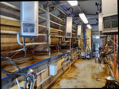 Bild 2:Melkstand 2x3 Tandem