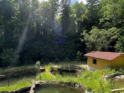 Bild 8:Landwirtschaftliches Grundstück mit Hobbyfischzucht