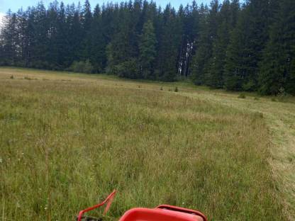 Bild 4:Schleifen von Doppelmesser-Mähwerk ESM