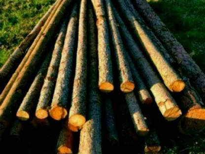 Bild 2:Pferdekoppelstangen 4 m