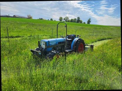 Bild 2:Eicher gesucht