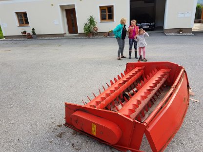 Bild 4:Gruber LHD 24 Dosierwalzen