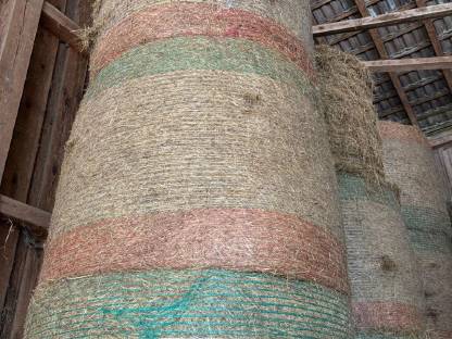 Bild 2:Schönes Pferdeheu Ernte 2024 in Rundballen