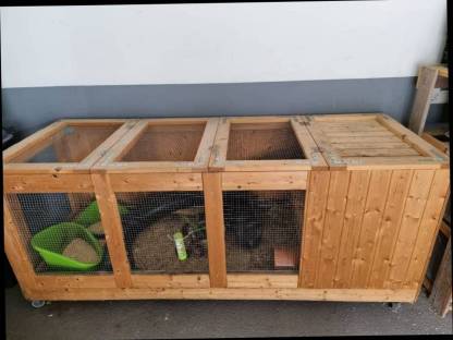 Bild 3:Verschenke Zwerghasen inkl. Käfig