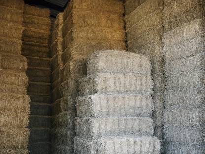 Bild 2:Premium Pferdeheu aus der Bretagne Lieferung in ganz DE