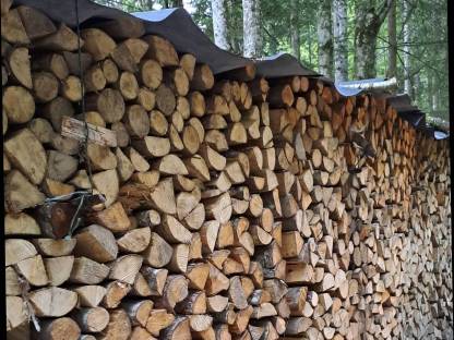 Brennholz