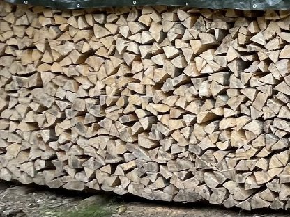 Brennholz, Hartholz, Eschenholz (90 Euro), Buchenholz (100 )
