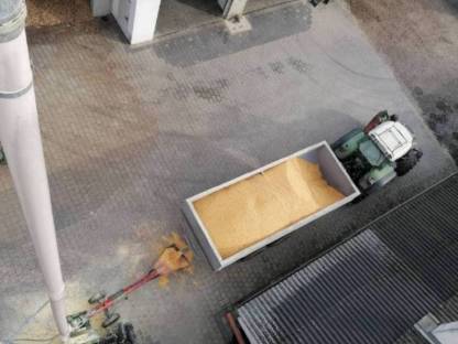 Bild 2:Lohn Musen Mus Max 99 Mühle