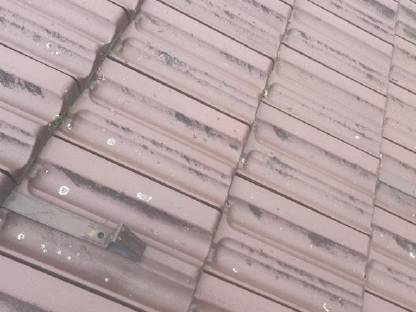 Bild 3:Dachziegel Tondach Braun