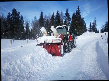 Schmied VF 1 Schneefräse