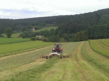Claas Liner 665L Mittelschwader