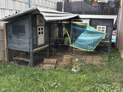 Verkaufe XL Hasenstall mit Hasen