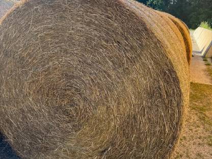 Bild 4:Heuballen, Strohballen