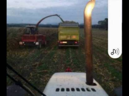 Bild 4:Maishäcksler Agrostroy Toron