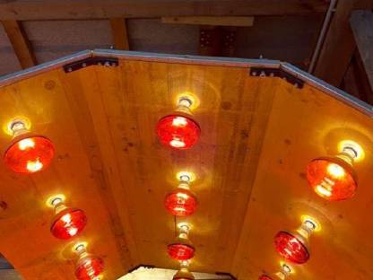 Bild 8:Einstellplätze für Pferde