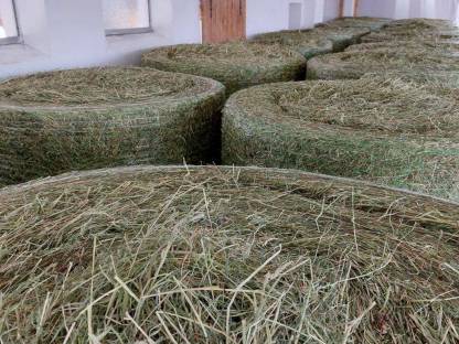 Bild 4:Kleinheuballen mit Warmluft belüftet