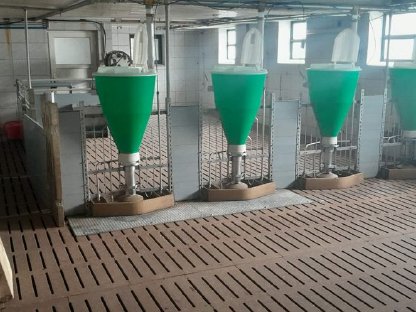 Bild 7:Verkaufe Schweinestalleinrichtung