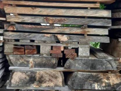 Bild 2:Zirbenholz, Birke, Esche, Ahorn