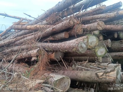 Bild 3:Tausche Heuballen gegen Schadholz