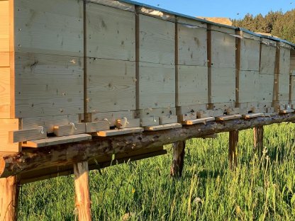 Bild 2:Einheitsmaß Bienenstock