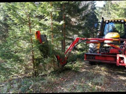 Bild 2:Mulchen von Forststraßen