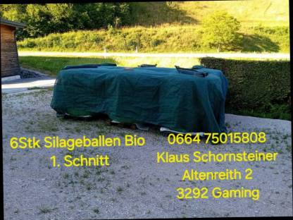 BIOSILOBALLEN
