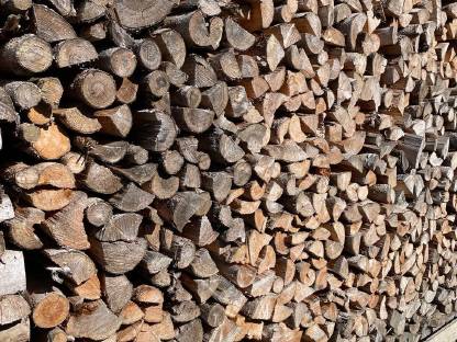 Bild 2:Brennholz Fichte