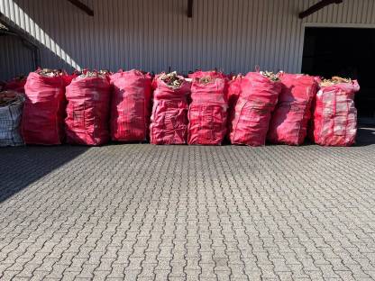 Bild 2:120 Schüttraummeter ofenfertiges Fichten-Brennholz