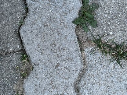 Bild 2:Suche Pflastersteine Rigol