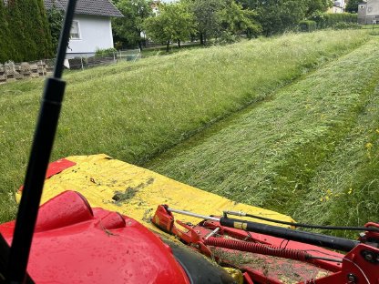 Bild 3:BIO-Heu 1. Schnitt 2025 in Rundballen