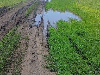 Bild 3:Agrarbetrieb 5.900 Hektar Leinoelmühle und Alte Bäckerei sucht