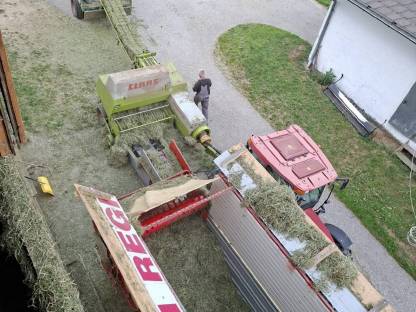 Bild 3:Klee Kleinballen