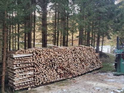 Bild 2:Brennholz