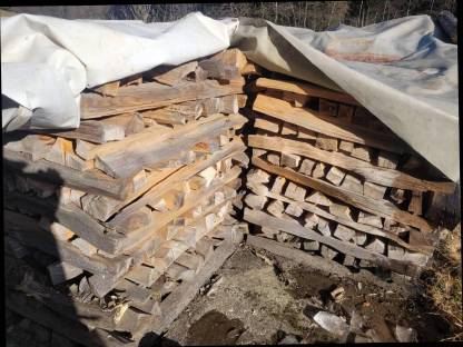 Buchenholz gespalten 10 rm