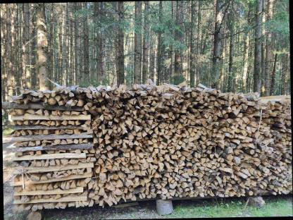Brennholz Fichte