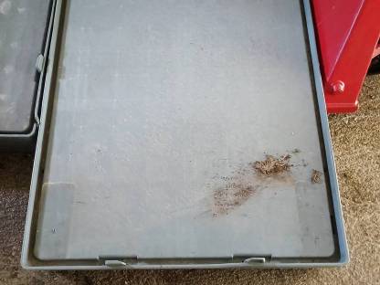 Bild 2:Vermiete Plastikpaletten