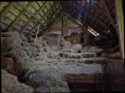 Bild 3:Altes Heu zum einstreuen Einstreu kleine Ballen