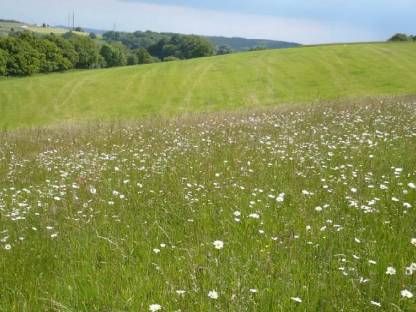 Bild 2:Äcker und Wiesen