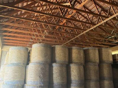 Bild 2:Verkaufe Heuballen 1. und 2. Schnitt 2025