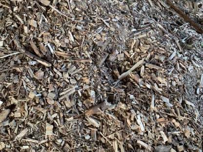 Bild 2:Reisig Unterzündholz