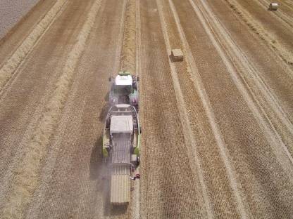 Bild 6:Stroh in Quaderballen, Ernte 2025